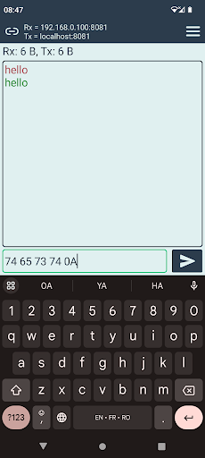 UDP Terminal ekran görüntüsü