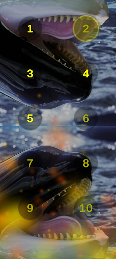 Killer Whale And Orca Sounds ekran görüntüsü