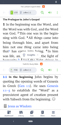 Faithlife Study Bible ekran görüntüsü