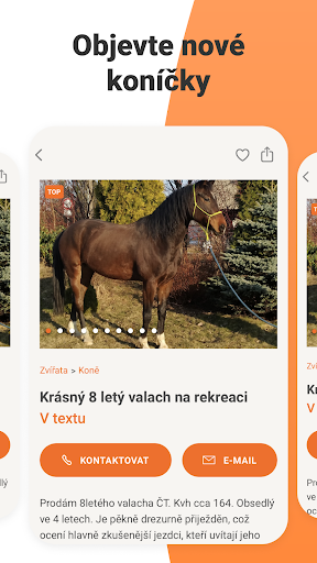 Bazoš: online bazar ekran görüntüsü