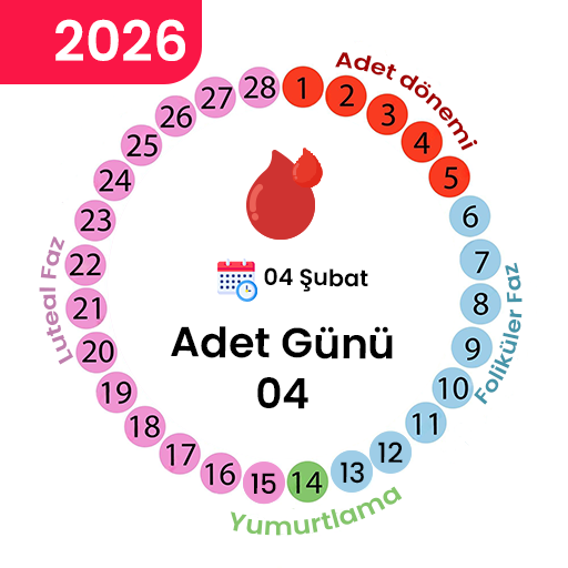 Yumurtlama Döngüsü Adet Takibi