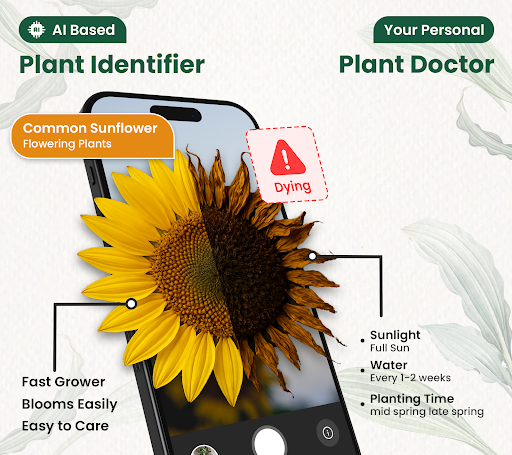 AI Plant Identifier & Care ekran görüntüsü