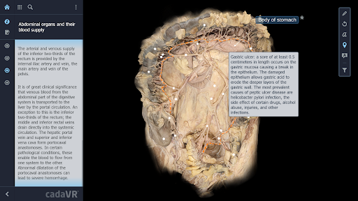 cadaVR anatomy ekran görüntüsü