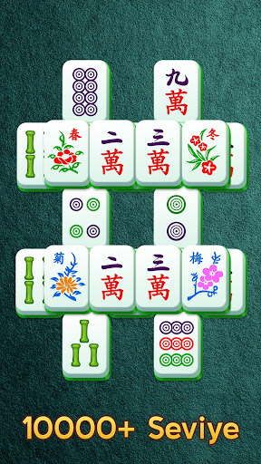 Vala Mahjong ekran görüntüsü