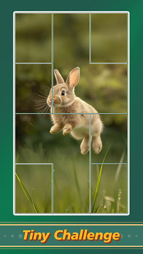 Jigsaw Puzzle Art: Relax Book ekran görüntüsü