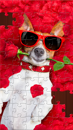 Jigsaw Puzzles Explorer ekran görüntüsü