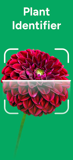 AI Plant Identifier: PlantCare ekran görüntüsü