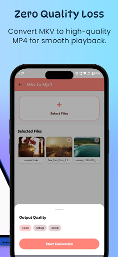 Mkv to Mp4 converter ekran görüntüsü
