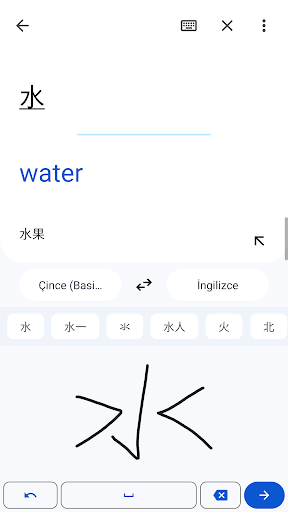 Google Çeviri ekran görüntüsü