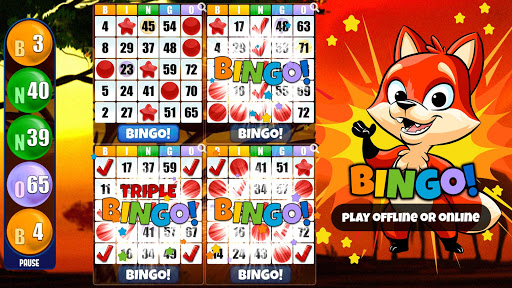 Absolute Bingo ekran görüntüsü