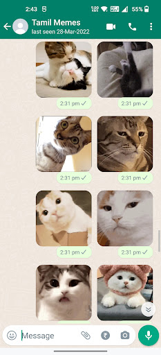 Cat Animated Stickers ekran görüntüsü