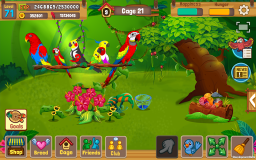 Bird Land: Pet Shop Bird Games ekran görüntüsü