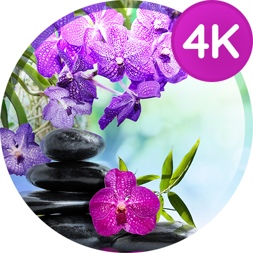 4K çiçekli duvar kağıtları