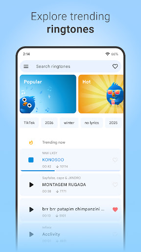 Music Ringtones & Alarm Sounds ekran görüntüsü