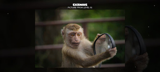 XPicture LF ekran görüntüsü