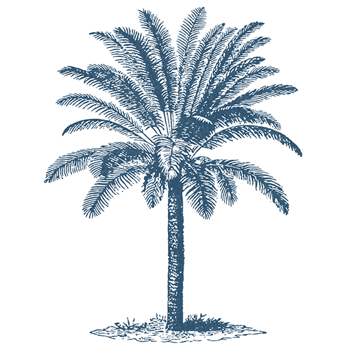 Casa Palmera