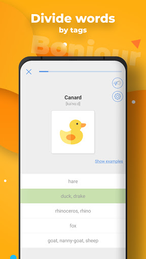 My Dictionary - polyglot ekran görüntüsü