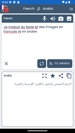 Arabic French Translator ekran görüntüsü
