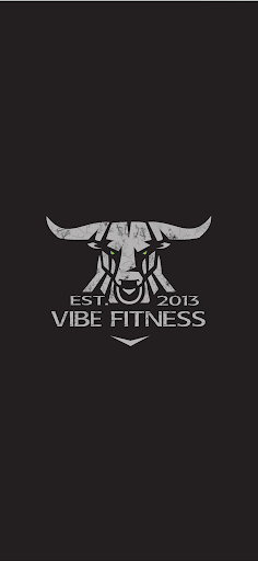 Vibe Fitness Online ekran görüntüsü