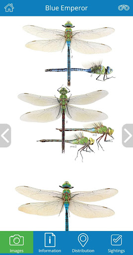 DragonflyPro ekran görüntüsü