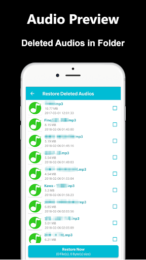 Deleted Audio Recovery ekran görüntüsü