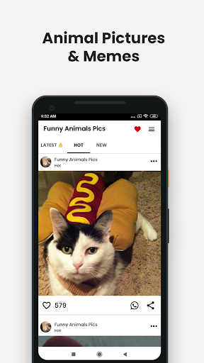 Funny Animal Pictures & Memes ekran görüntüsü