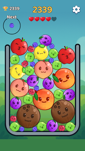 Super Fruit ekran görüntüsü