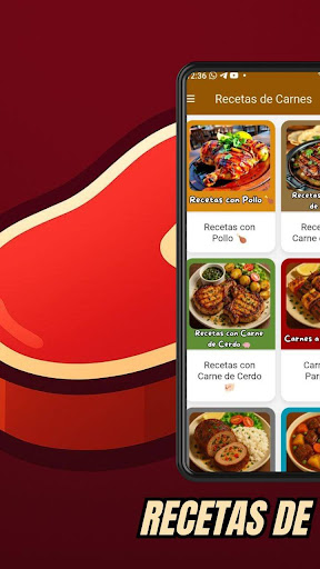 Recetas de Carnes ekran görüntüsü