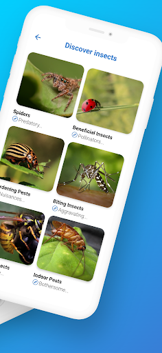 FotoInsect - Bug AI Tanımlayıc ekran görüntüsü