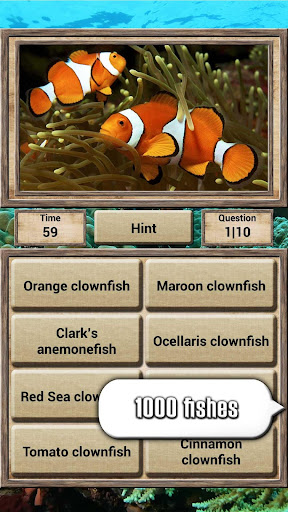 Animal Kingdom - Quiz Game ekran görüntüsü