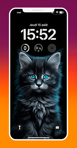 Cute Cats & Kittens Wallpapers ekran görüntüsü