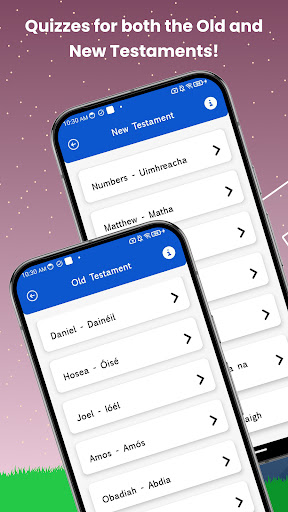 Irish Bible Quiz ekran görüntüsü
