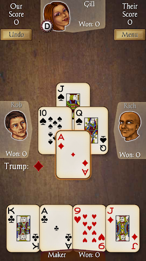 Euchre Pro ekran görüntüsü