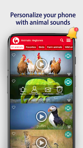 Hayvanlar Zil Tonları ekran görüntüsü