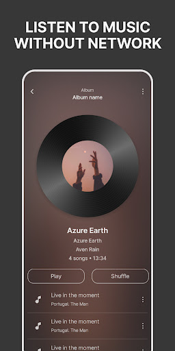 Offline Player for your Music ekran görüntüsü