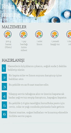 Balık Tarifleri ekran görüntüsü