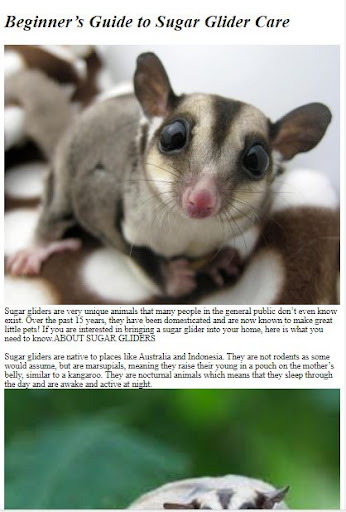 Pet Sugar Glider Care Guide ekran görüntüsü