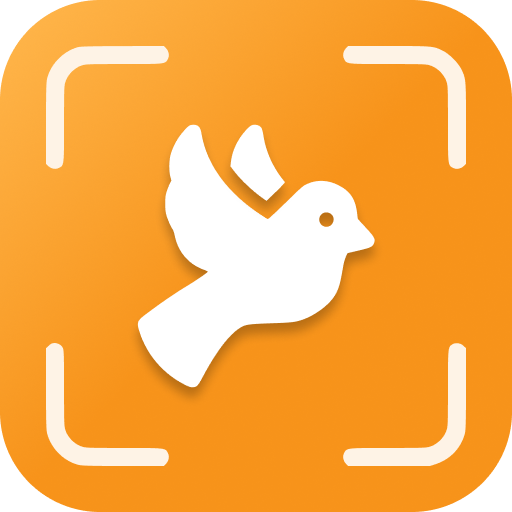 Bird Identifier