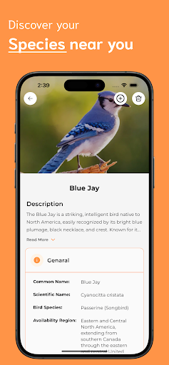 Bird Identifier ekran görüntüsü
