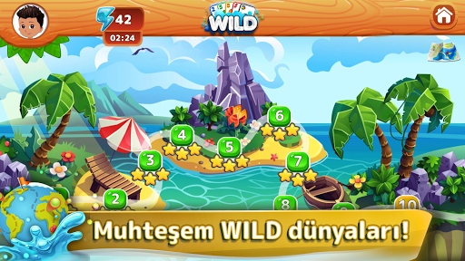 Crazy Eights: Kart Oyunları ekran görüntüsü