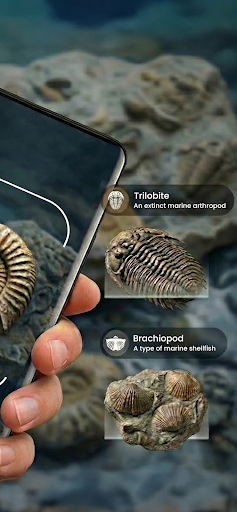 Fossil Identifier: Bone ID ekran görüntüsü