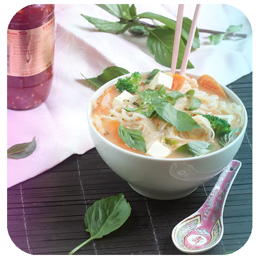 Diet Recipes Offline