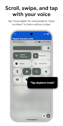 Voice Access ekran görüntüsü