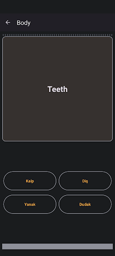 Learn Turkish ekran görüntüsü