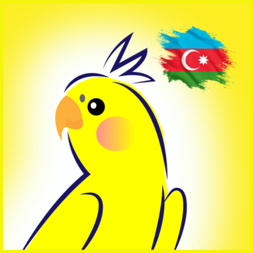 DYP imtahan - Avto imtahan