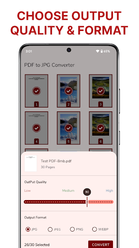PDF to JPG Converter ekran görüntüsü