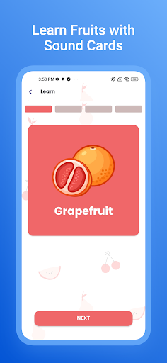 Fruido - Sesli Meyve Sebzeler ekran görüntüsü