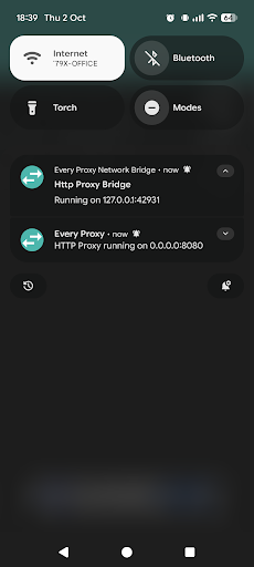 Every Proxy ekran görüntüsü