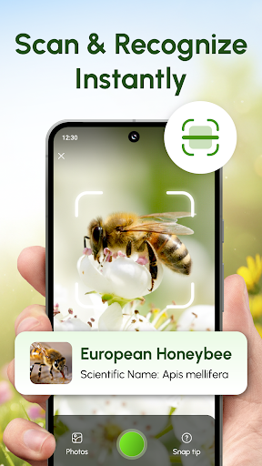 Bug Scanner: Identify Insects ekran görüntüsü
