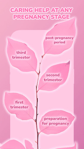 AI Pregnancy Tracking App ekran görüntüsü